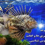 لغات اقیانوس شناسی - ایران ترجمه - Irantarjomeh